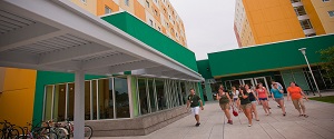 Фото университета University of South Florida